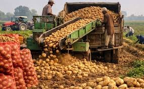 cold storage problems potato farmers Uttar Pradesh agriculture crisis