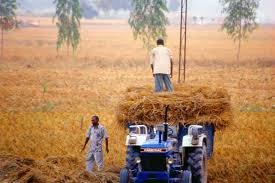 global war impact on farming in India farmer struggling high fertilizer cost