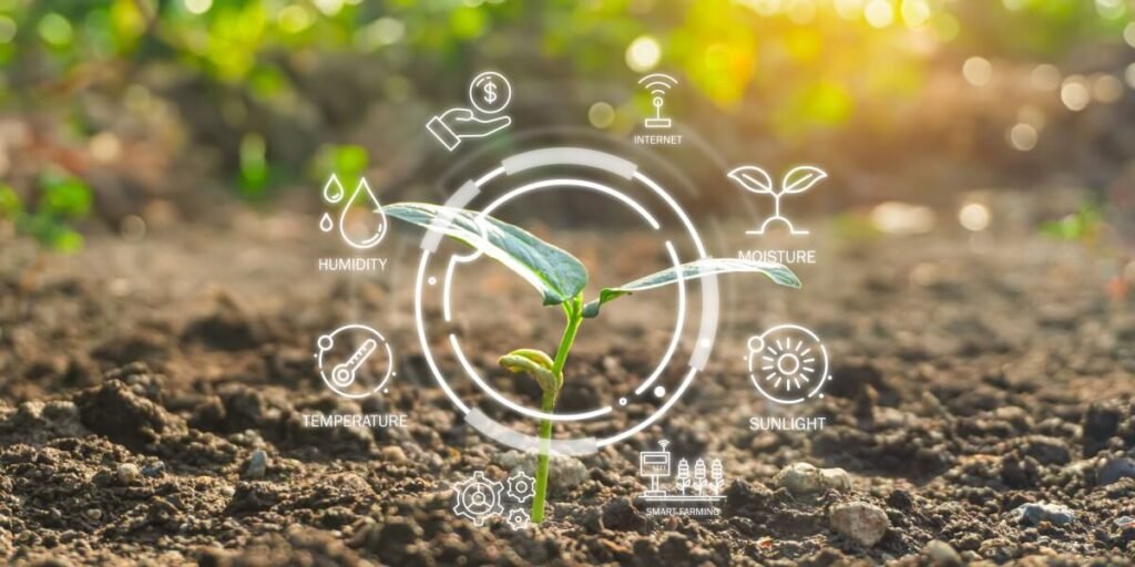 Modern smart farm with irrigation system automatically controlled by digital interface, farmer 