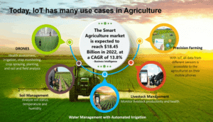 How to Implement IoT Solutions in Agriculture for Better Yields