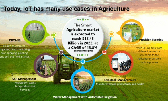 IoT smart farming sensors improving crop yield in agriculture