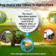 IoT smart farming sensors improving crop yield in agriculture
