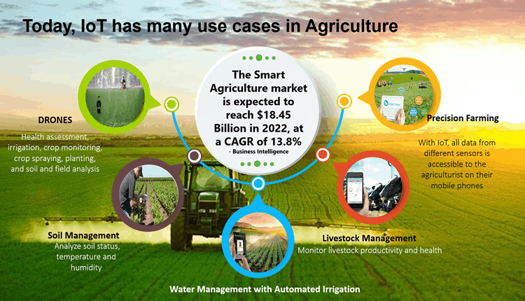 IoT smart farming sensors improving crop yield in agriculture