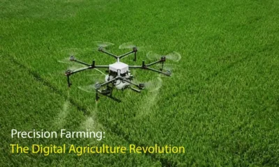 AI-driven precision agriculture in Indian farming showing smart farming technology and crop monitoring