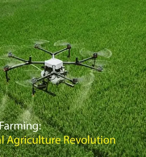 AI-driven precision agriculture in Indian farming showing smart farming technology and crop monitoring
