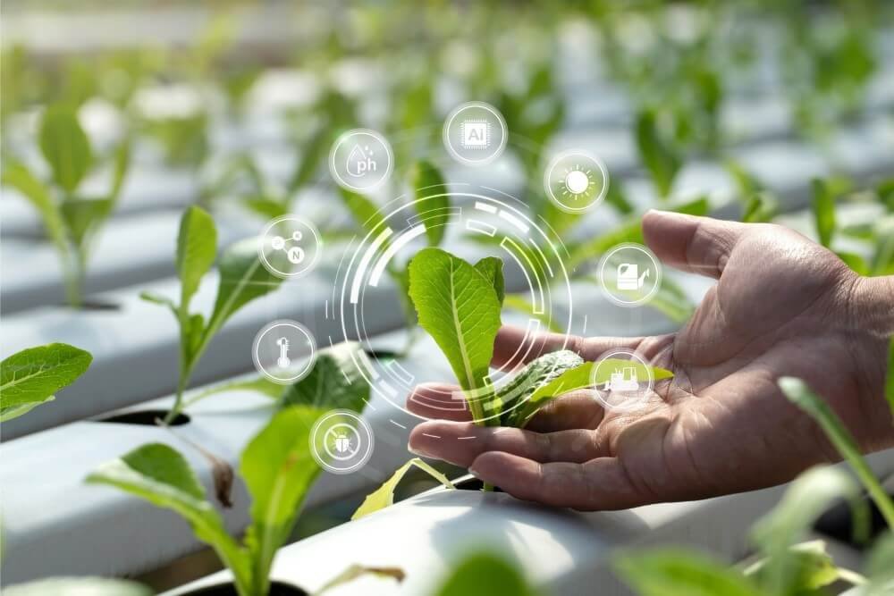 AI pest detection in Indian farming improving crop yield and sustainable agriculture