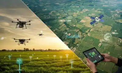 Satellite data for farmland health monitoring showing NDVI crop analysis