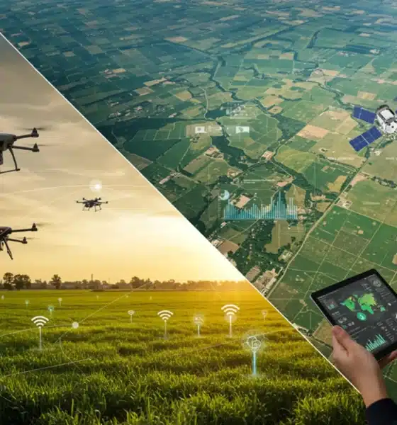 Satellite data for farmland health monitoring showing NDVI crop analysis