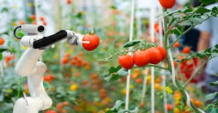 smart irrigation system for vegetable farming increasing crop yield and profitability