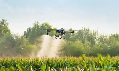 drone technology in agriculture crop spraying using drone over farm field