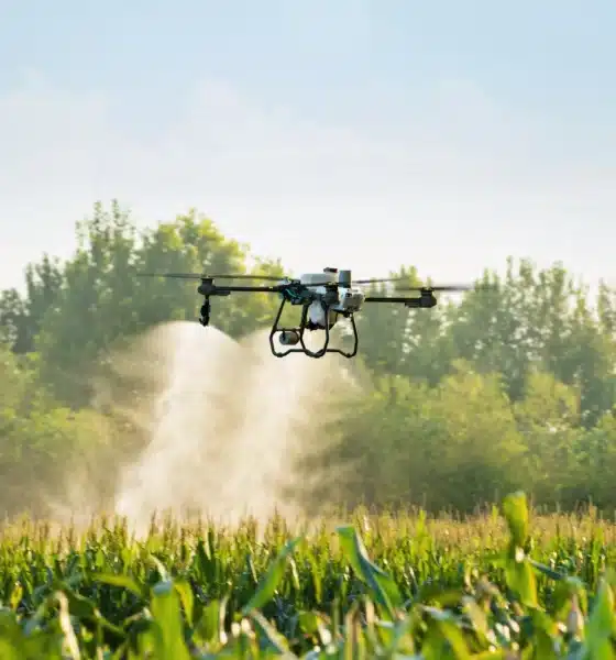 drone technology in agriculture crop spraying using drone over farm field
