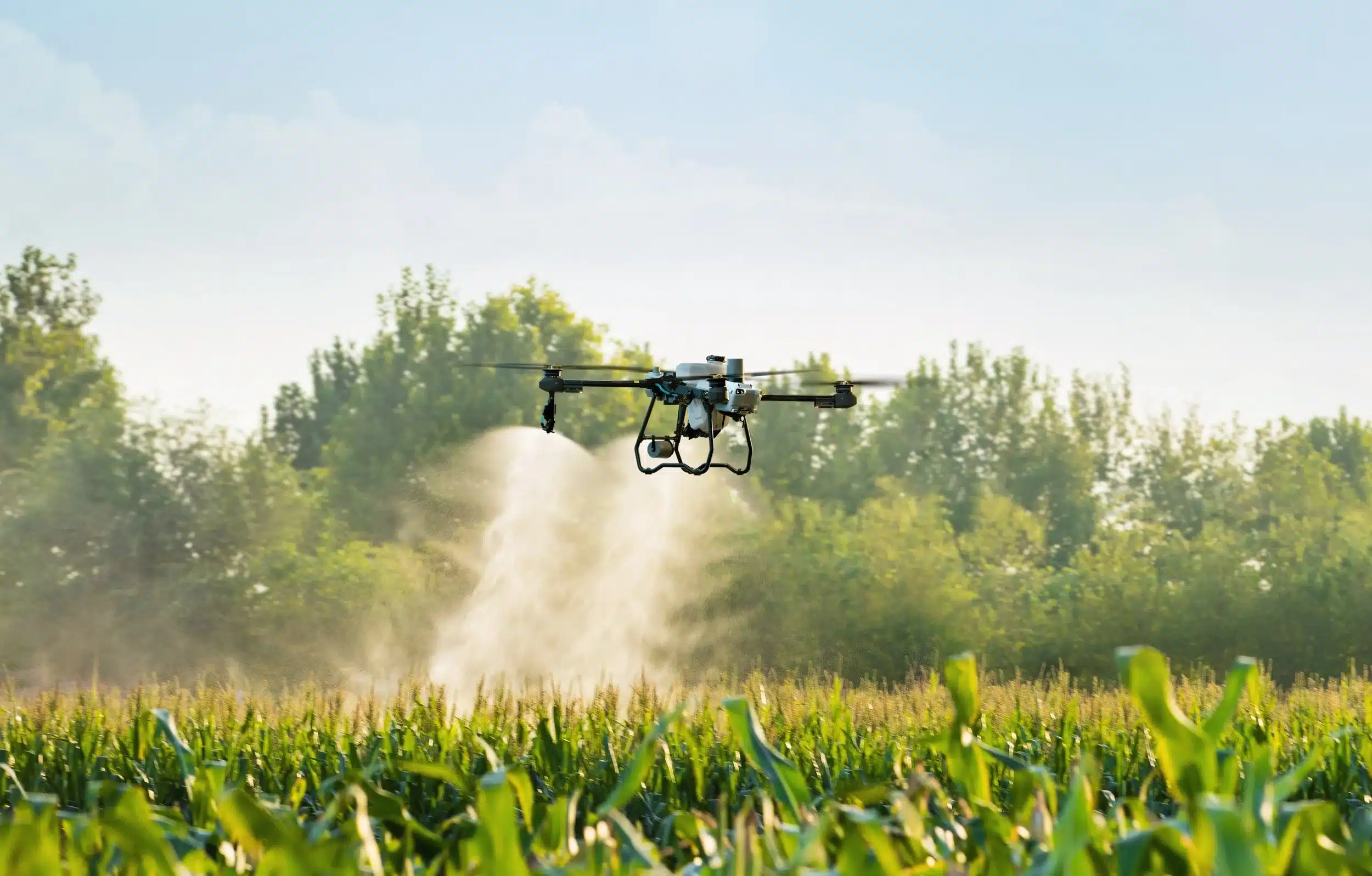 drone technology in agriculture crop spraying using drone over farm field