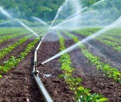 Soil moisture sensor irrigation system for efficient water management in Indian farms
