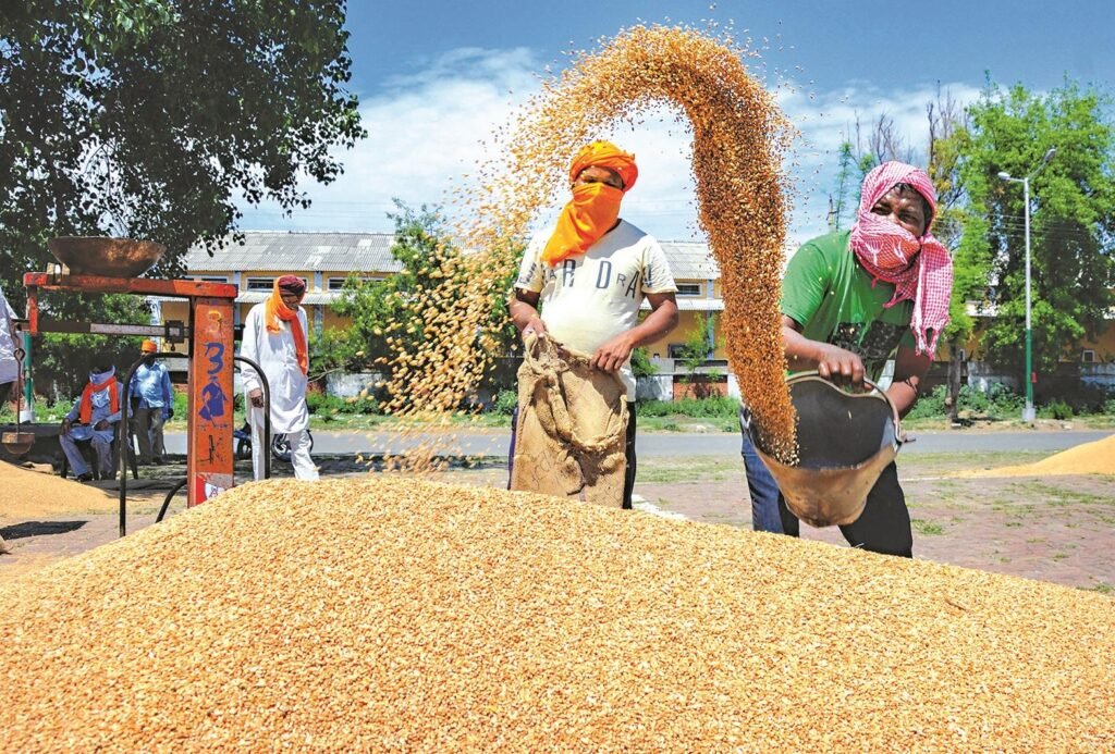  India wheat buffer stock storage food security warehouse
