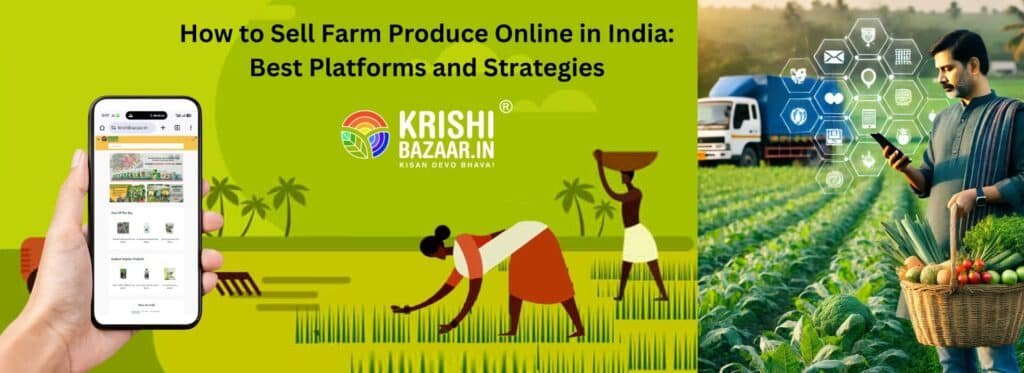 Direct farmer to consumer marketplace delivery fresh produce
