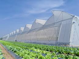 automated greenhouse system cost comparison modern smart farming setup