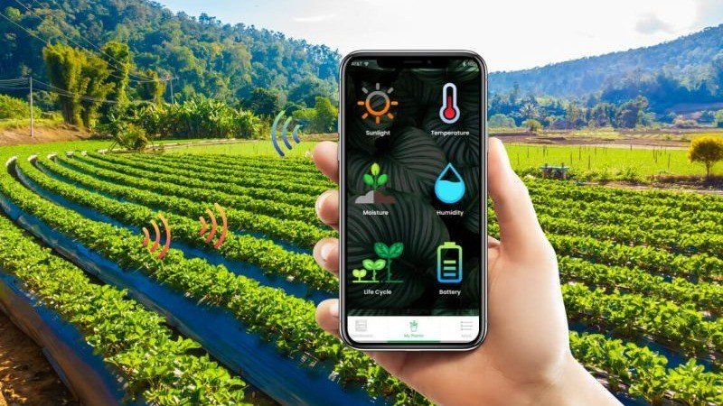  Agricultural weather forecasting dashboard for smart farming