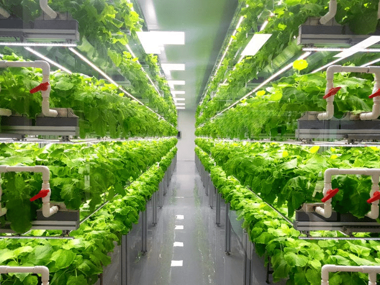 VERTICAL FARMING IS THE FUTURE