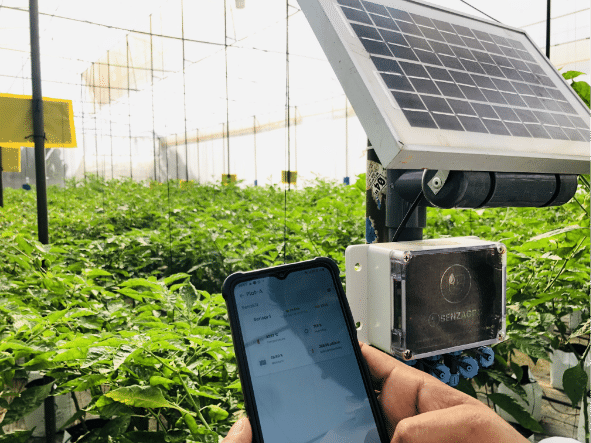 Solar Powered Irrigation Systems: A Sustainable Solution for Modern Farming
