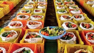 Top 10 Vegetable Farming Profit Per Acre in India